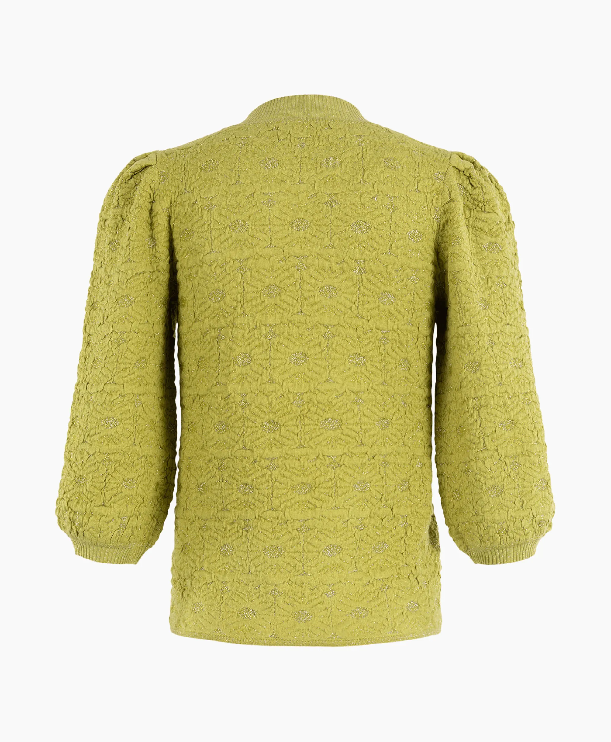 Anna Van Toor Pullover 34A09-02850 Groen*Dames Truien