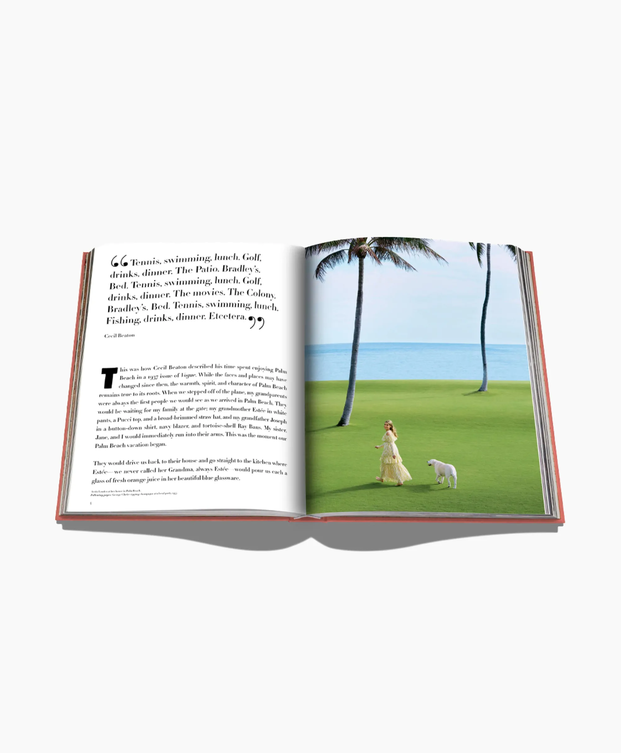 Assouline Boek Palm Beach Diversen*Lifestyle Lifestyle