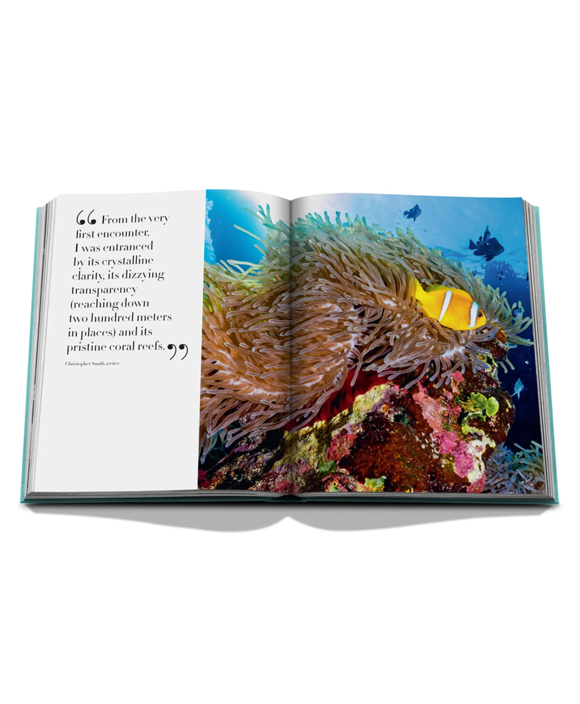 Assouline Boek Saudi Arabia: Red Sea Diversen*Lifestyle Lifestyle